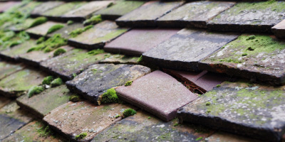 Woburn roof repair costs